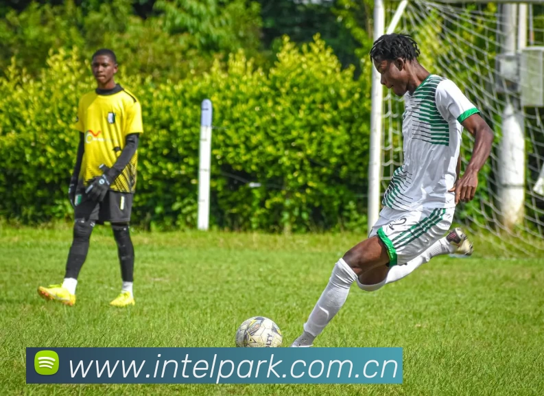 leyu乐鱼官方在线登录品牌故事